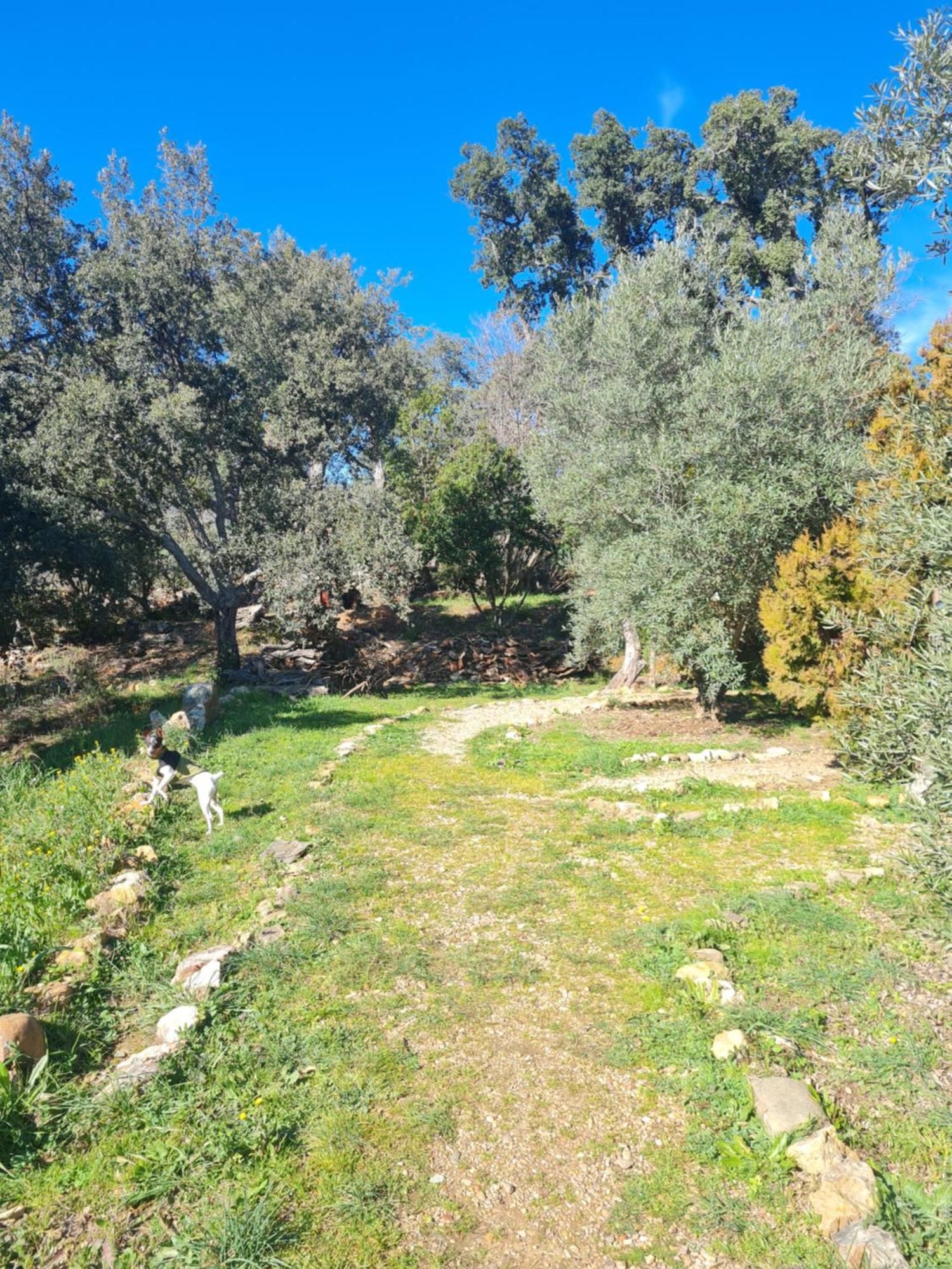 Apartamentos Rurales Candela Cañamero Dış mekan fotoğraf