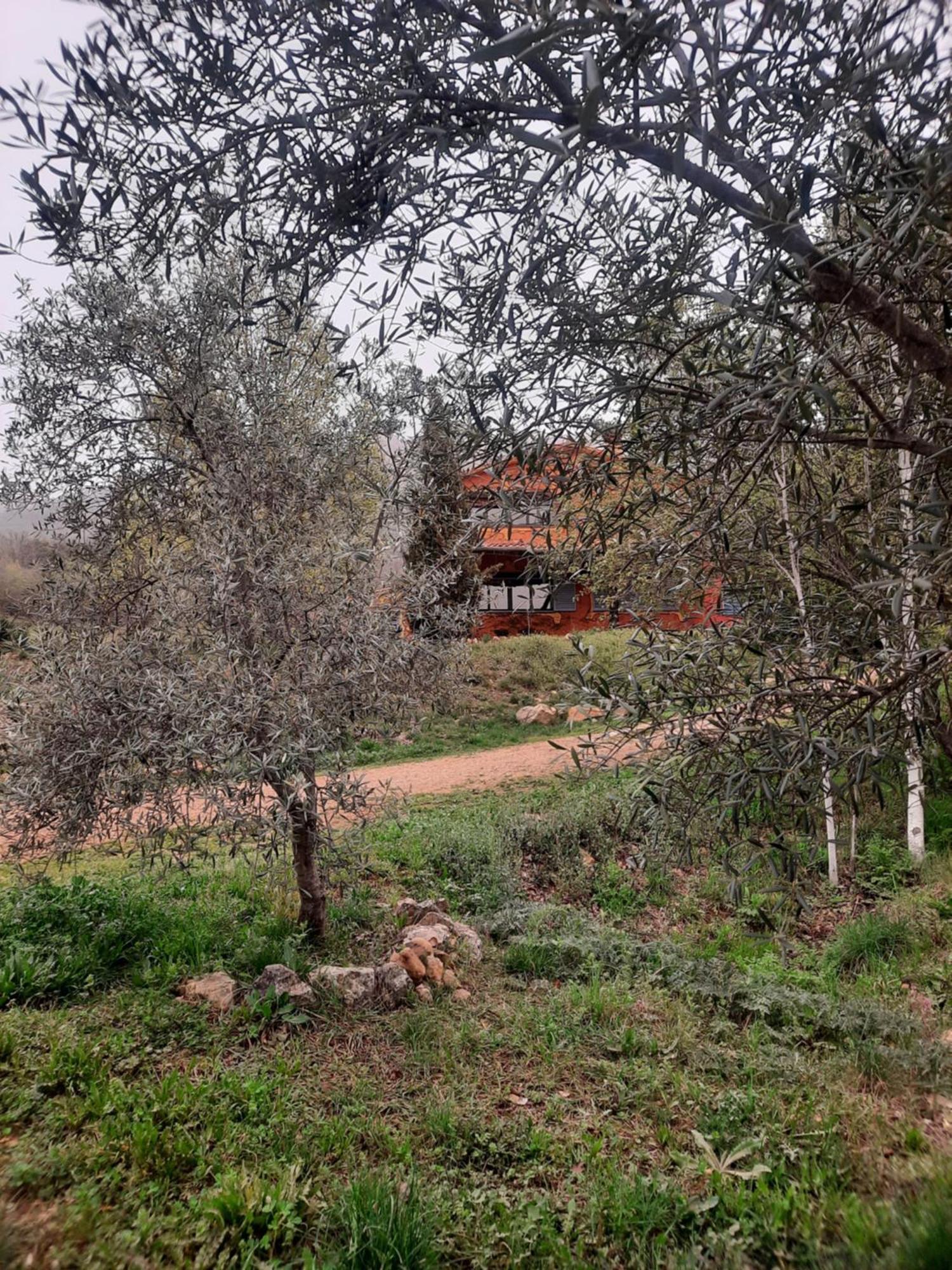 Apartamentos Rurales Candela Cañamero Dış mekan fotoğraf